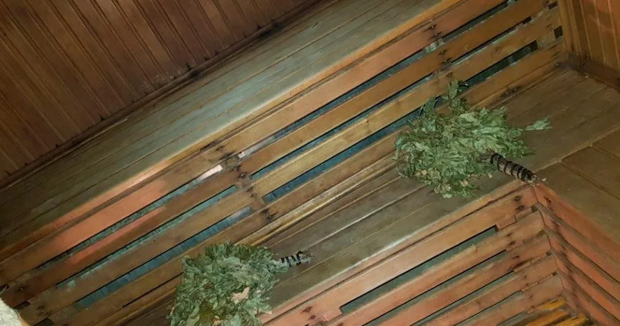 Баня На Чайковского — сауны и бани Харькова